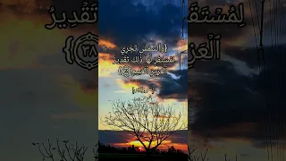 سورة يس الآية ٣٦ الى ٤٠ بصوت الشيخ محمد ايوب 