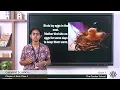 Grade 3 General Science Chapter 4 Class 4 Nests of Birds