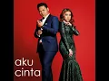 Aku Cinta - Ernie Zakri & Syamel