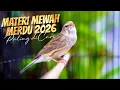 Lagu MATERI MEWAH CENGKOK ISIAN 2026 ! MASTERAN KENARI ISIAN BLACKTHROAT GACOR DURASI PANJANG