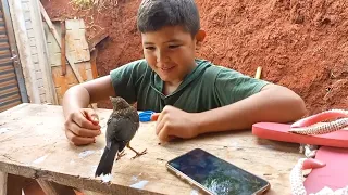 O Emanuel criando um filhote de sábia.