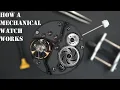 How a Mechanical Watch Works Explained in 5 Minutes