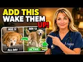 Why Your Old Dog Sleeps All Day And the Bowl Fix That Brings Them Back