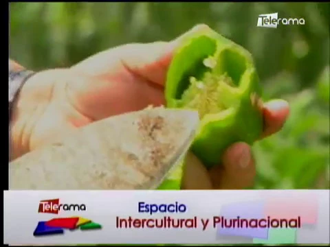 Ecuador Agropecuario 13-03-2018