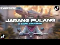 Download Lagu DJ JARANG PULANG X NEW MASHUP REMIX 2025 BY BAMBANG REMIX