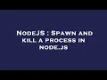 NodeJS Spawn and kill a process in node js