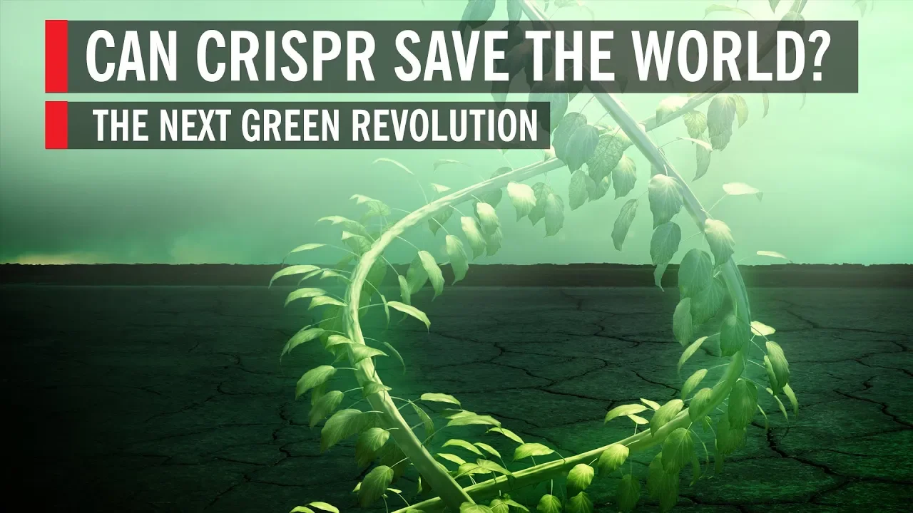 Can CRISPR Save the World? The Next Green Revolution