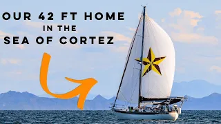 What the F*** was THAT?! 🤣 [Part 6]