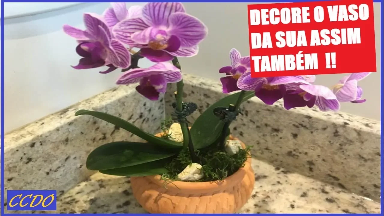 COMO DECORAR VASO DE ORQUÍDEA E IMPRESSIONAR A VISITA