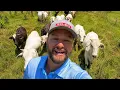 South African Tries Small-Town Alabama Farm Life
