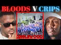 Bloods and Crips at WAR Again in LA