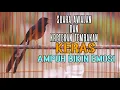 Download Lagu KRETEKAN DAN SUARA AWALAN MURAI BATU AMPUH MEMANCING LAWAN IKUT NEMBAK KERAS