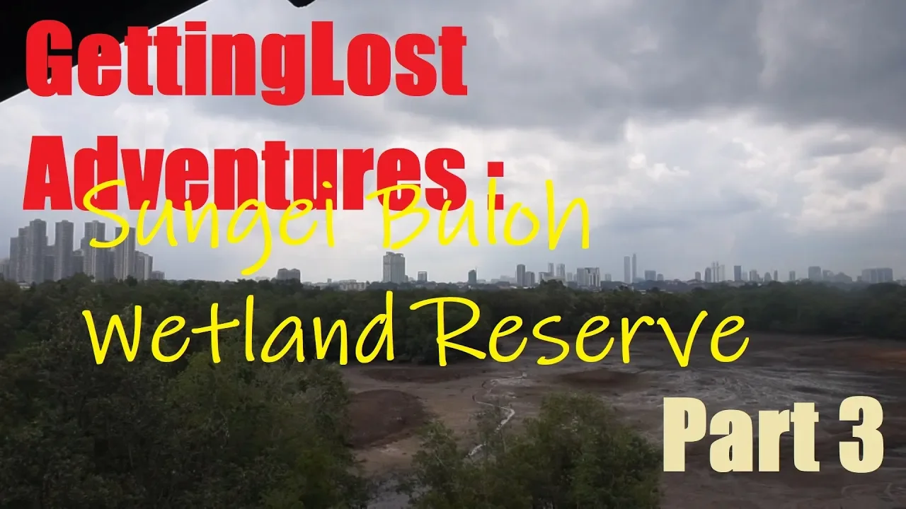 GettingLost Adventures : The Sungei Buloh Wetland Reserve Part 3. Exploring the Tidal Ponds