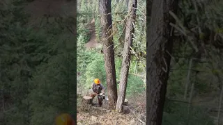 6 minutes in a junk patch