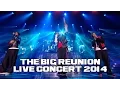 Download Lagu 3T - I NEED YOU (THE BIG REUNION LIVE CONCERT 2014)