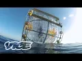 Florida Man Runs to Bermuda in a Giant Bubble WTFLORIDA