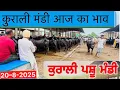 Download Lagu 20-8-2025 ਕੁਰਾਲੀ ਪਸ਼ੂ ਮੰਡੀ 84000 ਹਜਾਰ ਦੀ ਮੱਝLive #trending #viral #bull #animals #cow #baffalo 