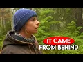 5 Disturbing Forest Encounters Caught On Camera