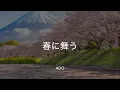 【歌詞付き】春に舞う - Ado