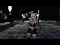 FFXIV, the Beautiful Journey with Friends