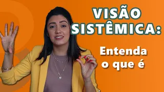 VISÃO SISTÊMICA: Entenda o que é