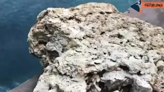 اني احب مش هو دا اللي تاعبني  دندنها