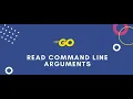Go language - command line args