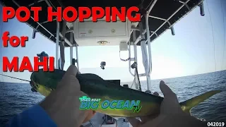 Episode 4 – Pot Hopping for Mahi