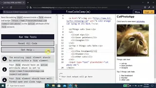 Basic HTML and HTML5 Answer keys for all lessons freeCodeCamp 1 to 28