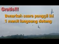 Lagu Suara panggil burung walet 1 menit langsung datang