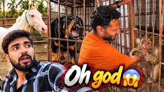 A Terrifying Animal Attack! I Got BITTEN! 😭😱
