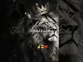 Download Lagu main logo ko ek bar parkhta hu fir talluk to rakhta hu magar dil se nhi #shorts #motivation #explore