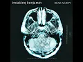 Dear Agony - Breaking Benjamin