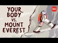 Download Lagu What happens to your body at the top of Mount Everest - Andrew Lovering