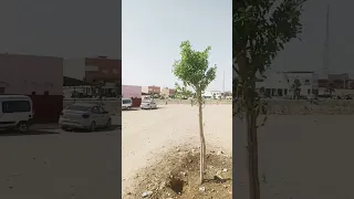 للدار شافعي بني مسكين اقليم سطات 