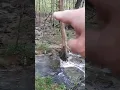Arrowhead Trail