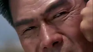 chen chen jet li fist of legend chichewa