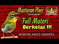 Download Lagu Masteran Pleci Nembak Full Materi  Berkelas❗❗Pleci Gacor