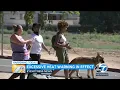 SoCal Petco stores to double as cooling centers for pets amid heat wave