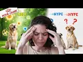 Royal Canin s breed-specific formulas hype or help
