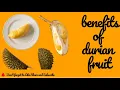 Health Benefits of Durian Fruit The King of Fruits