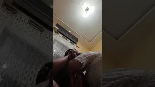 قلعتيلهم القلب مع مدحات الشيخة فاتي من أخر الخرجات همة والشان 