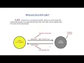 Asynchronous JavaScript AJAX APIs - JavaScript