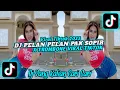 Download Lagu DJ PELAN PELAN PAK SUPIR x TROMBONE VIRAL TIK TOK TERBARU 2023 exported