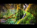 Download Lagu Iszoloscope :: Chronophage [Official Video]