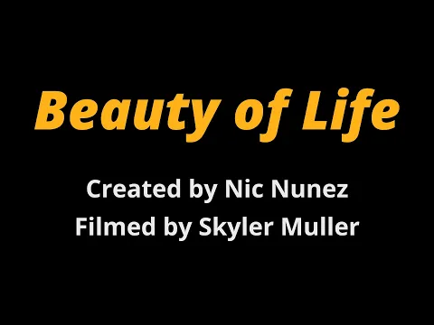 Beauty of Life Trailer