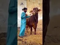 Download Lagu https://vt.tiktok.com/ZS2hstH8a/