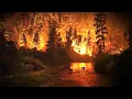 U S Wildfires Surge to Maximum Alert 94 Fires Burning 6 Dead No Relief in Sight