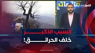 العامل البشري أم المناخي؟ ما المتسبب الأكبر في اندلاع الحرائق؟