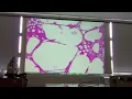 UE 1 reviewer for Gen Path l lab